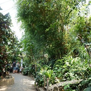 Dschungelwelt - General view