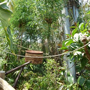 Dschungelwelt - Feeding station