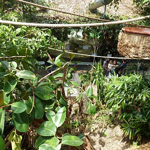 Dschungelwelt - General view from upper part