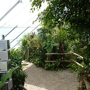 Dschungelwelt - Upper part