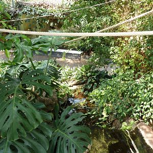 Dschungelwelt - General view