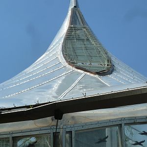 Dschungelwelt - Roof top