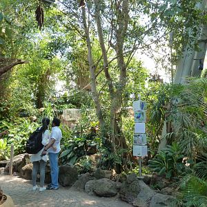 Dschungelwelt - General view