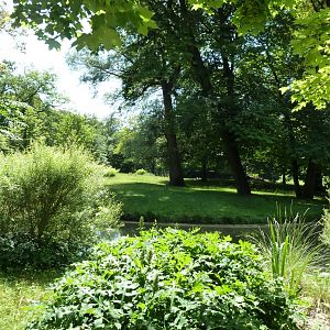 Mhor gazelle enclosure