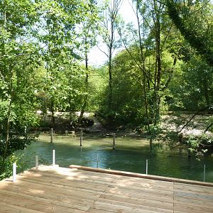 New viewing point on red river hog enclosure