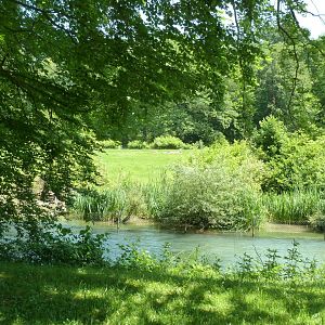 Mhorr gazelle enclosure