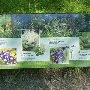 Sign about local flora on open woodland