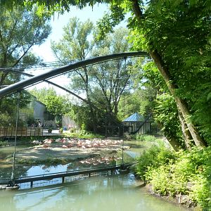 Main entrance - Flamingo aviary