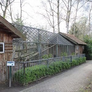 Old Serval-enclosure