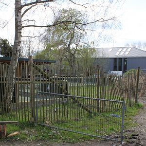 Building-site new entrance / giraffe-enclosure