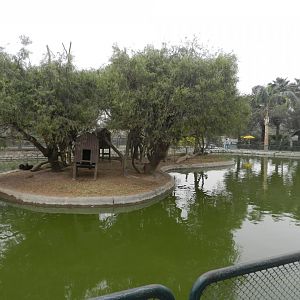 Lake with islands - Parque Zoológico Huachipa