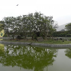 Lake with islands - Parque Zoológico Huachipa