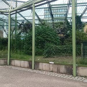 Chimpanzee Outdoor Enclosure