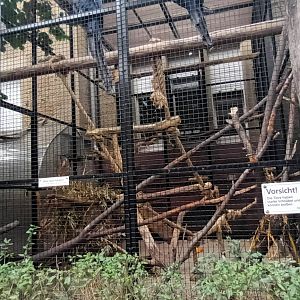 Hyacinth Macaw Aviary