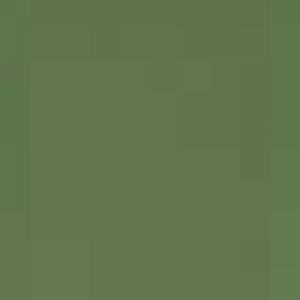 Burrowing owl (2013)