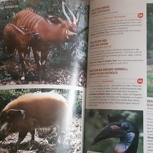 Dublin zoo guide