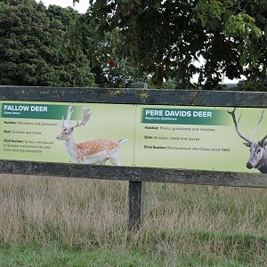 Example of smart new signs