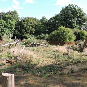 New Meerkat/Porcupine/Aardvark area