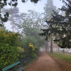 Road to the zoo -Parc Zoologique de Paris (2022)