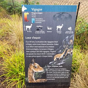 Vicuña sign -Parc Zoologique de Paris (2022)