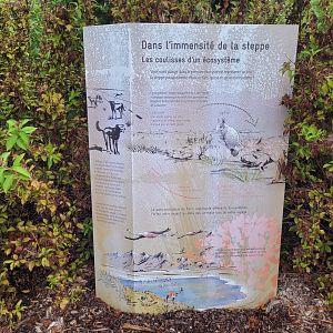 Patagonian steppe sign -Parc Zoologique de Paris (2022)