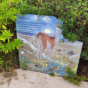 Patagonian steppe sign -Parc Zoologique de Paris (2022)
