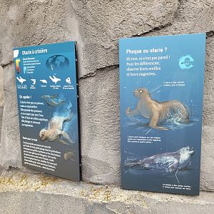 Patagonian sea lion signs -Parc Zoologique de Paris (2022)