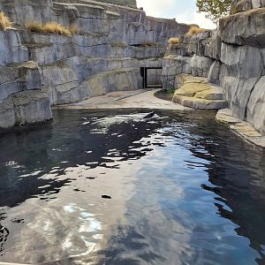 South American fur seal exhibit -Parc Zoologique de Paris (2022)