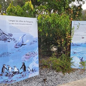 Patagonian coasts signs -Parc Zoologique de Paris (2022)