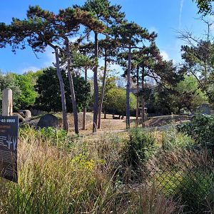Roan antelope exhibit -Parc Zoologique de Paris (2022)