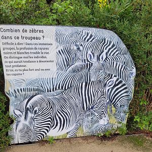 Grevy's zebra sign -Parc Zoologique de Paris (2022)