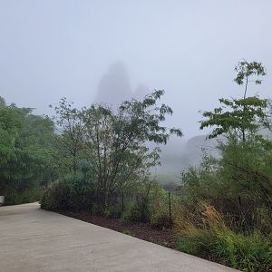 The "Grand Rocher" behind the fog -Parc Zoologique de Paris (2022)