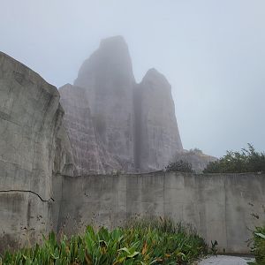View of the "Grand Rocher" -Parc Zoologique de Paris (2022)