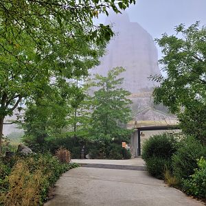Road to the baboon exhibit -Parc Zoologique de Paris (2022)