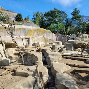 Guinea baboon exhibit -Parc Zoologique de Paris (2022)