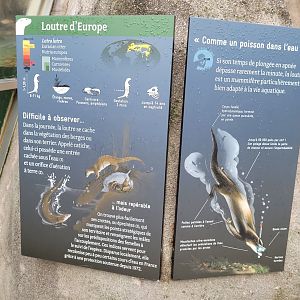 European otter signs -Parc Zoologique de Paris (2022)