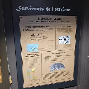 Tardigrade sign -Parc Zoologique de Paris (2022)
