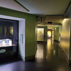 Vivarium view -Parc Zoologique de Paris (2022)