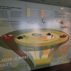 "Classify the living, easy?" -Parc Zoologique de Paris (2022)