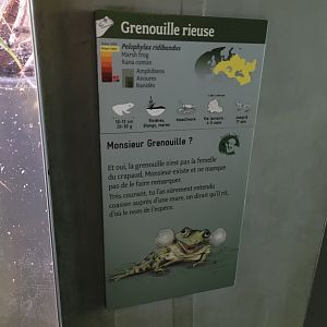 Marsh frog sign -Parc Zoologique de Paris (2022)