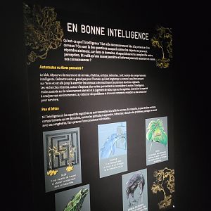 Blob sign -Parc Zoologique de Paris (2022)