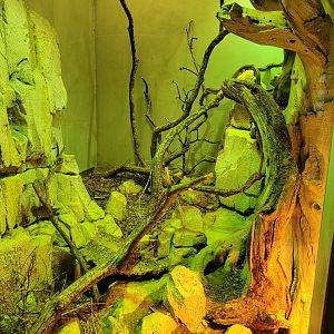 Ladder snake exhibit -Parc Zoologique de Paris (2022)