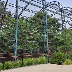 Western Eurasian griffon vulture and Egyptian vulture exhibit -Parc Zoologique de Paris (2022)