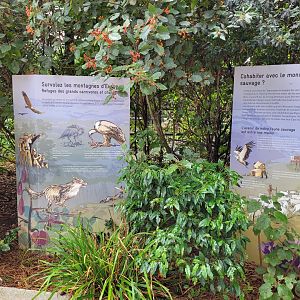 Scavenger signs -Parc Zoologique de Paris (2022)