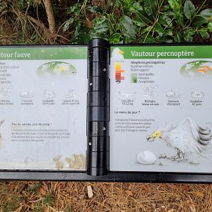 Western Eurasian griffon vulture and Egyptian vulture signs -Parc Zoologique de Paris (2022)