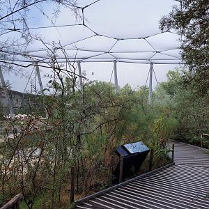 African aviary view -Parc Zoologique de Paris (2022)