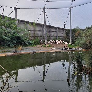 African aviary view -Parc Zoologique de Paris (2022)