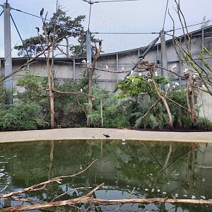 African aviary view -Parc Zoologique de Paris (2022)