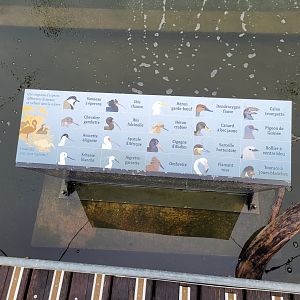 African aviary sign -Parc Zoologique de Paris (2022)