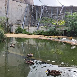 African aviary view -Parc Zoologique de Paris (2022)